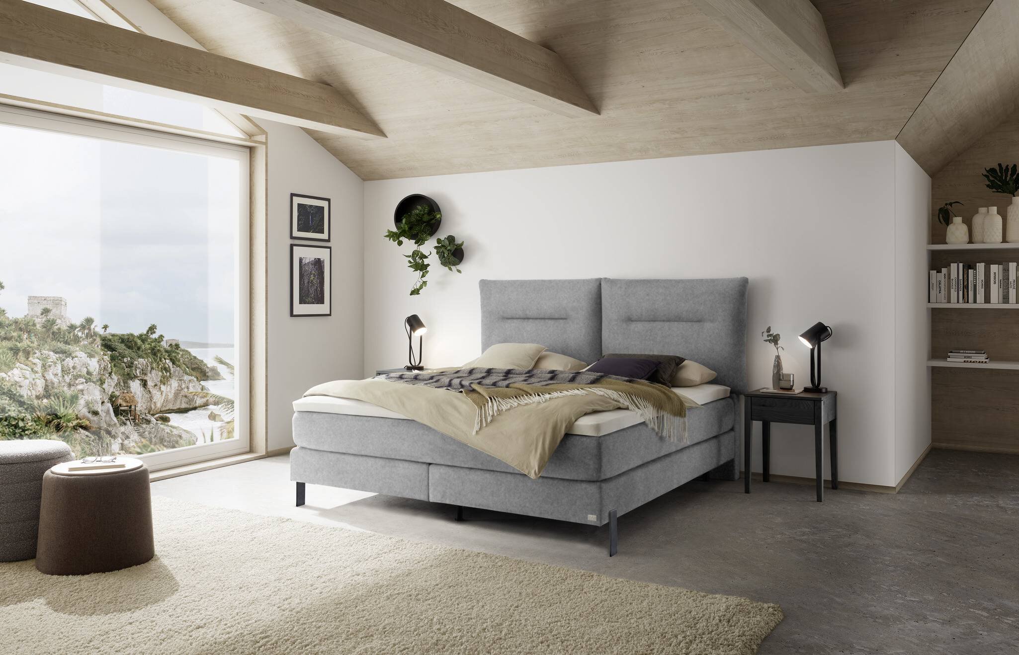 Hasena Bett